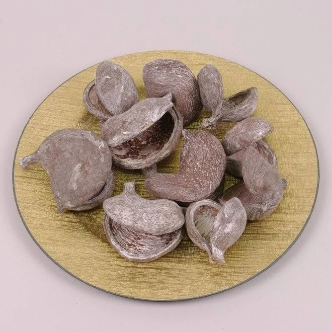 Polovičky plodov jacarandy — dekoračná zložka do sušených kytíc
